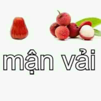 Lũ thiểu năng