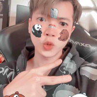 Hoài việt (Vịt)