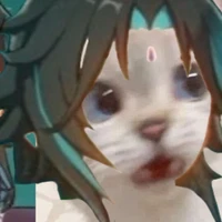 Vợ của con mèo trên avt😼