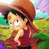 Monkey D Luffy