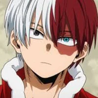 Shoto Todoroki