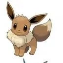 Eevee__ Pokemon của Zyn