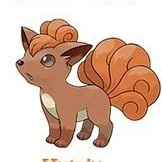 Vulpix__ Pokemon của Zyn