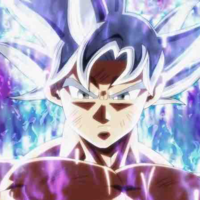 Goku Perfec Ultra Instinct