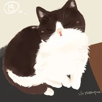 bông gòn(mèo của Jun Huyk)