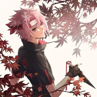 haku haruno
