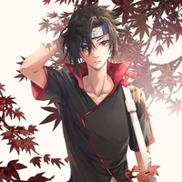 haruno rayka