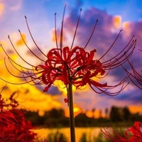 Bánh Thỉu Neng đêy