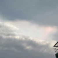 mấy đứa ở đó
