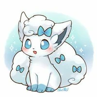 rokon