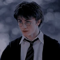 Harry Potter ⚡