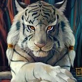 Mèo con//Bạch Hổ//