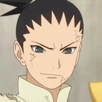 Nara Shikadai