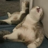 T/g_Sun "thân thiện"