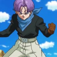 Trunks