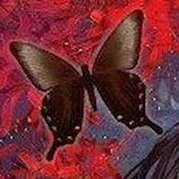 Butterfly Blood