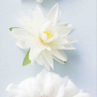 Mọi người