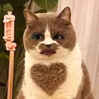 con tác giả tên Yu