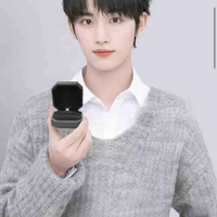 Đinh Trình Hâm (sau xuyên ko)