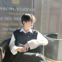 Lưu Hoàng Việt ( LHV )