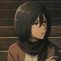 Mikasa