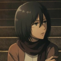 Mikasa