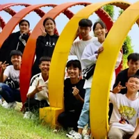 cả team