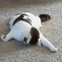 nhóm độc giả