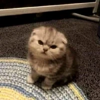 hệ thống( hình dạng lúc bị thu nhỏ)