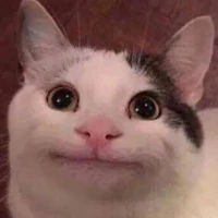 TG