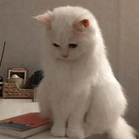 tác giả siu cutee-đa cấp-Helen