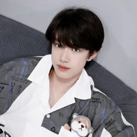 Trương Cực ( em trai Diệu Văn )