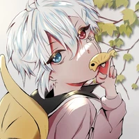 Hảu