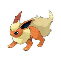 Booster_Korina