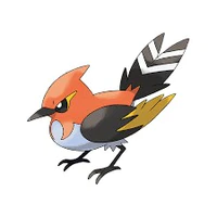Hinoyakoma_Korina