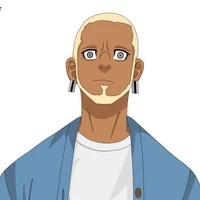 Kaizo Arashi