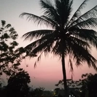 Nhân vật phụ