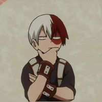 shoto todoroki