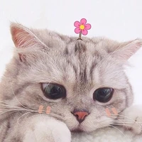 tgiả