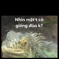 Tất cả mọi người