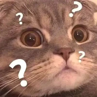 tất cả