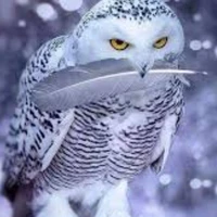 Tg tốt bụng từ khi còn trong trứng