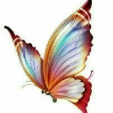 Mẹ Hồ Điệp