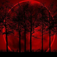 Tất cả đội K&K