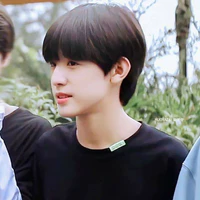 Trương Trạch Vũ