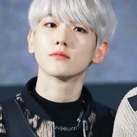 Baekhyun papa irene -tzuyu -suzy