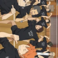 All karasuno(-Hinata kiyoko,yachi,HLV,)