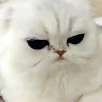 Tác giả hay hờn