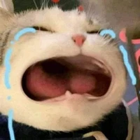 tag mít ướt 😢