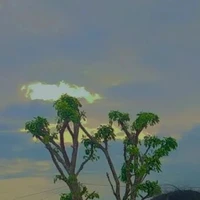 nhân vật phụ^^
